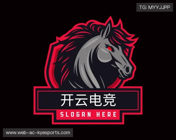 关于开云电竞服务